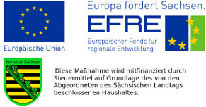 ERFE Logo